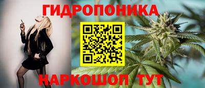 mdma Тара