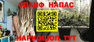 МДПВ Татарск