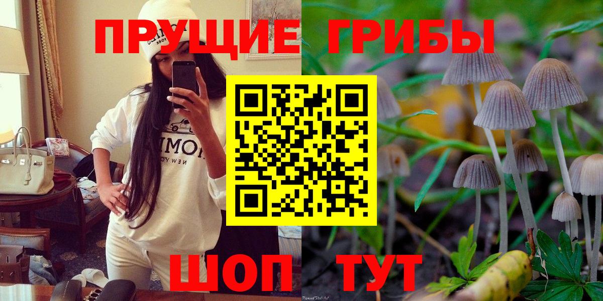 Псилоцибиновые грибы ЛСД Новошахтинск